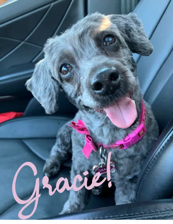 STEVE JURICH CO-FOUNDER 2 Gracie with name tag.png